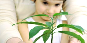 Child Planting