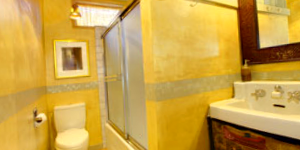Exotic Bathroom Design
