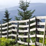 Fence