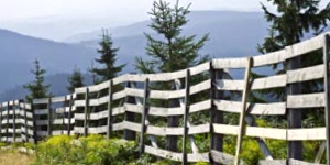 Fence