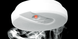 Fire Alarm System