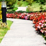 Garden Path