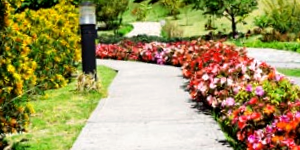 Garden Path