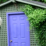 Garden Shed