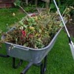 Lawn