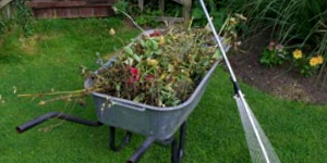 Lawn