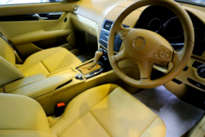 Leather Car Seats