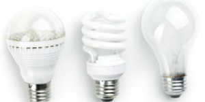 Light Bulbs