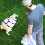 Man With Cleanup Bag