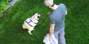 Man With Cleanup Bag