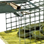 Mouse Trap Photo