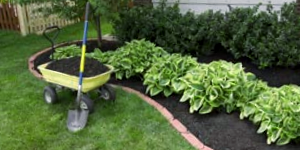 Mulch
