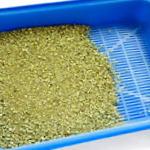 Plastic Litter Box