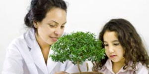 Potted Plant