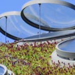 Round Disc Windows