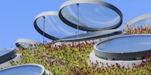 Round Disc Windows