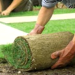 Sod Lawn Installation