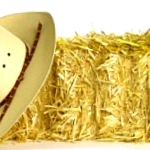 Straw Hat
