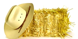 Straw Hat