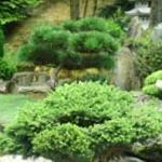 Stylish Garden