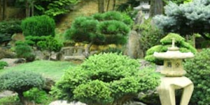 Stylish Garden