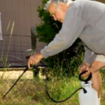 Weed Control