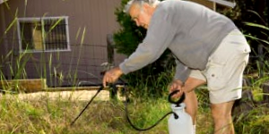 Weed Control