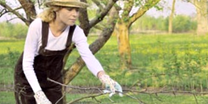 Woman Holding Twigs