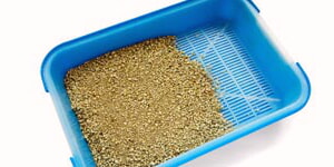 Caja De Arena Para Gatos