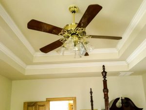 Ceiling Fan