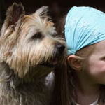Chica Con Cairn Terriers