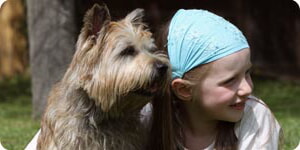 Chica Con Cairn Terriers
