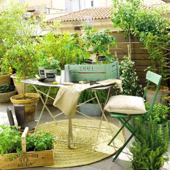 Como Agregar Plantas A Un Patio Pequeno 1