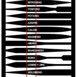 Como Ajustar El Ph Del Suelo