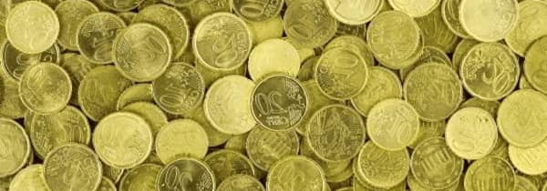 Como Apoyar Organizaciones Beneficas Ecologicas