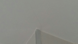 Como Arreglar Las Rayas De Pintura En Un Techo