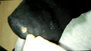 Como Arreglar Un Agujero En Un Calcetin 1
