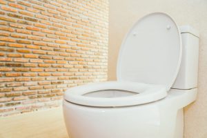 Como Arreglar Un Inodoro En Funcionamiento Scaled