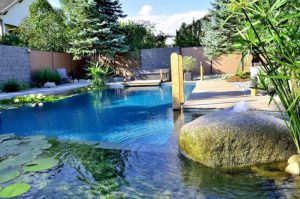 Como Cambiar A Una Piscina De Agua Salada
