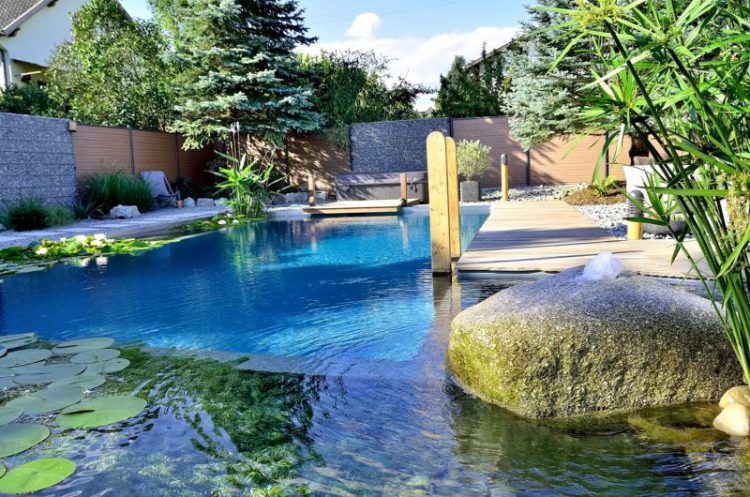 Como Cambiar A Una Piscina De Agua Salada