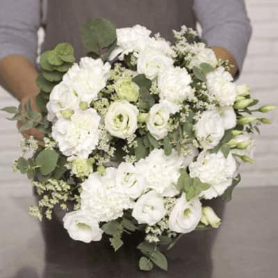 Como Comprar Flores Navidenas