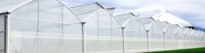 Como Comprar Productos Para Invernaderos