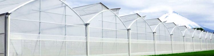 Como Comprar Productos Para Invernaderos