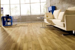 Como Comprar Suelos De Marmoleum Ecologicos
