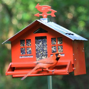 Como Comprar Un Comedero Para Pajaros A Prueba De Ardillas