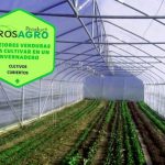 Como Construir Un Invernadero Comercial En El Patio Trasero