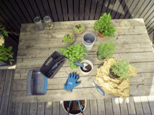 Como Construir Un Jardin Con Balcon