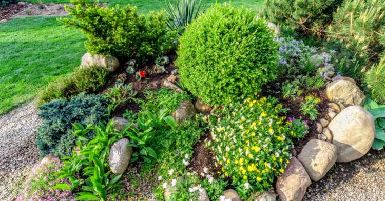 Como Construir Un Jardin De Rocas