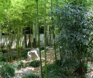 Como Construir Una Atraccion De Jardin De Bambu Simple