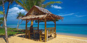 Cabaña Tiki De Bambú